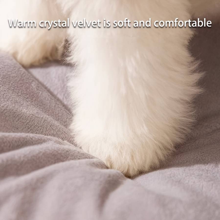 Pet supplies Model Model L Suitable For All Cats And Small Dogs