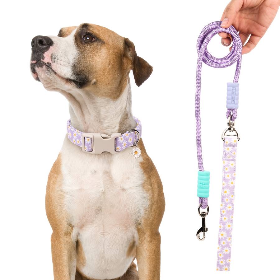Dog Leash Color Purple Size S