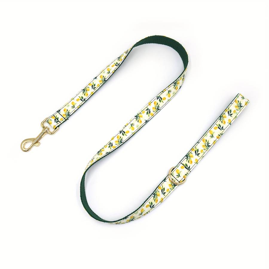 Dog Leash Color Cherry Dog Collar 3Piece Set Size S