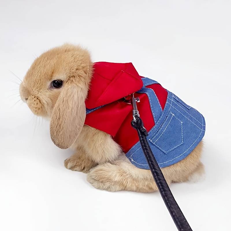 Pet Supplies Color Red Size S