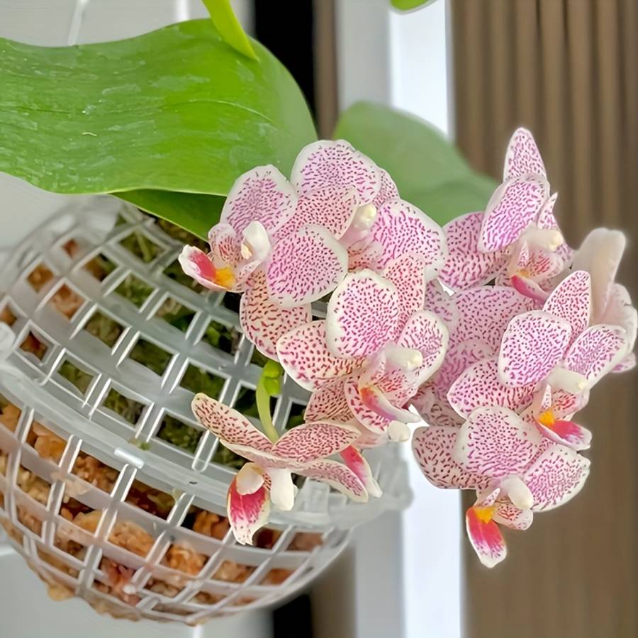 Flowerpot Model 10 01 Cm Ball 5 Pieces