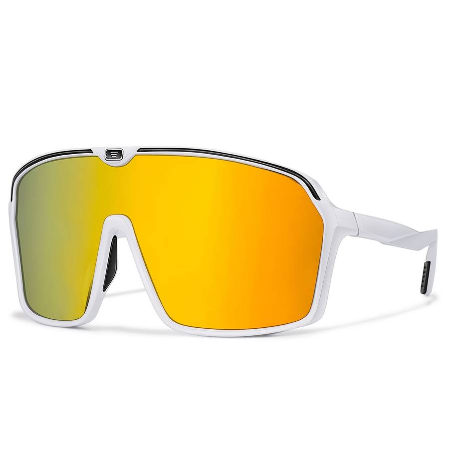 Cycling Glasses Color Rd5