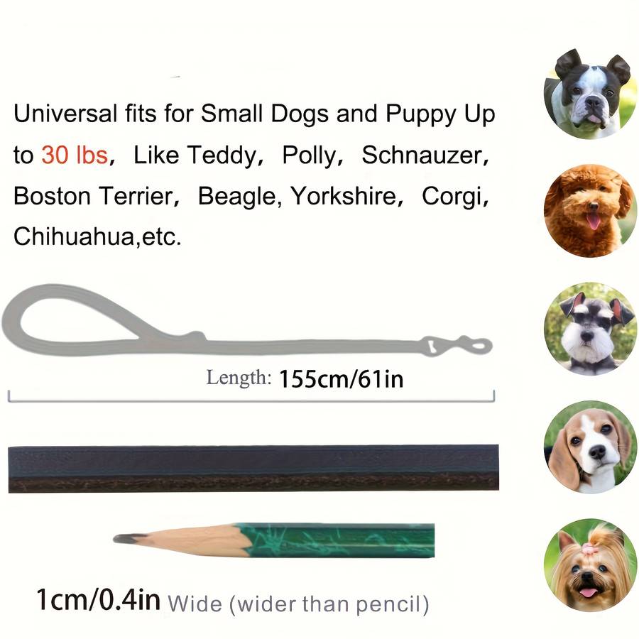 Dog Leash Color Green Size 1Cm0.4In