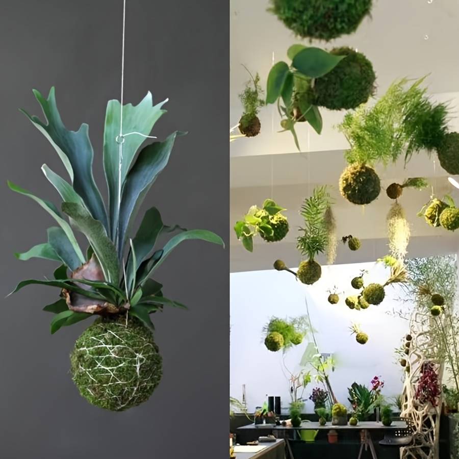 Flowerpot Model 10 01 Cm Ball 5 Pieces