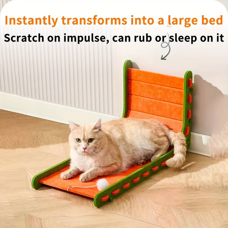 Pet Supplies Color Orange