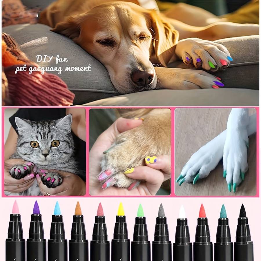 Pet Supplies Quantity 12