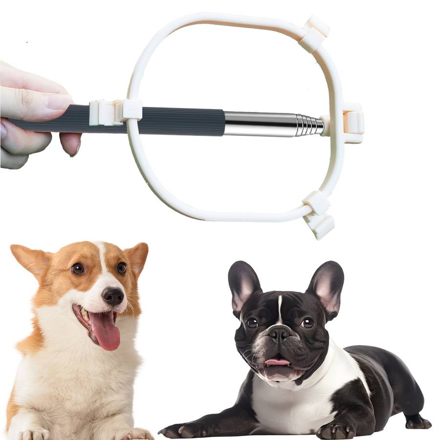 Pet supplies Items Three    card deduction