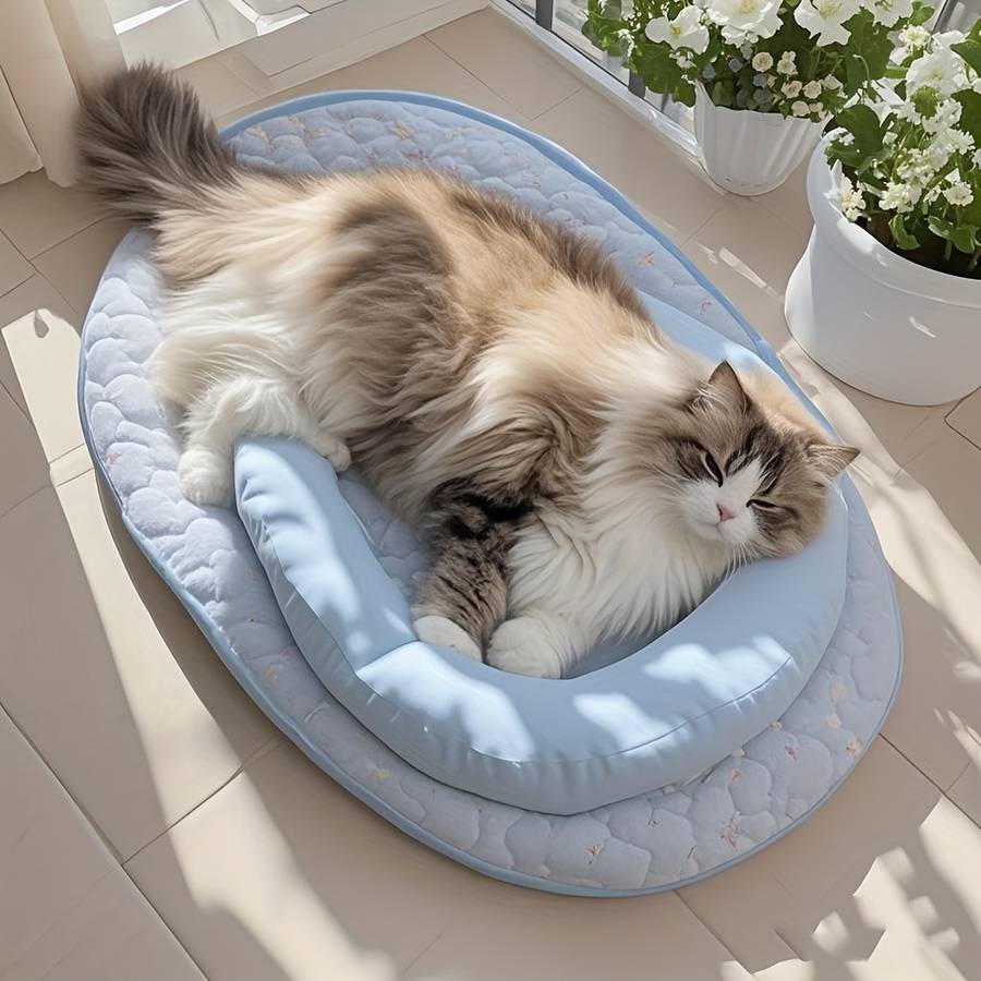 Pet Supplies Color Yellow  Size   M  50 X 88Cm  28.7In  34.6In