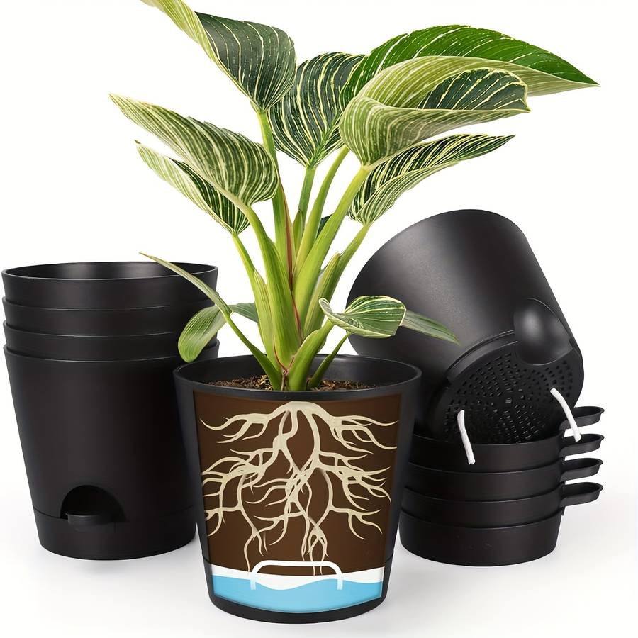 Flowerpot Color Olisx H1406 Bz 6 Black Basin And Brown Tray