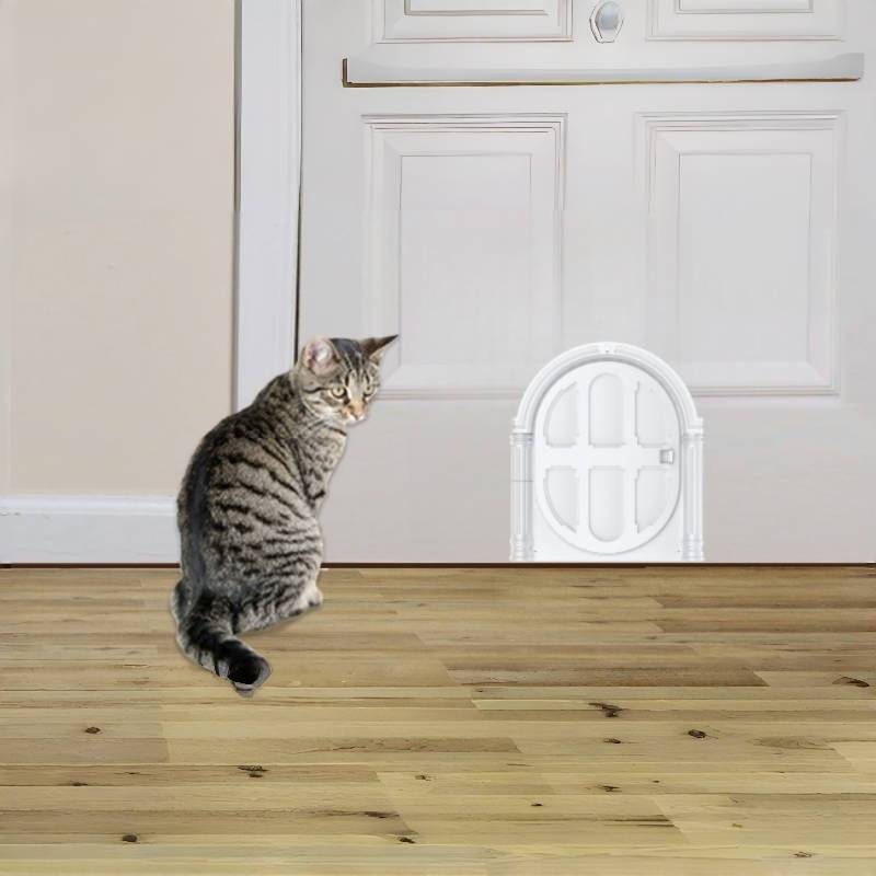 Pet Supplies Color White