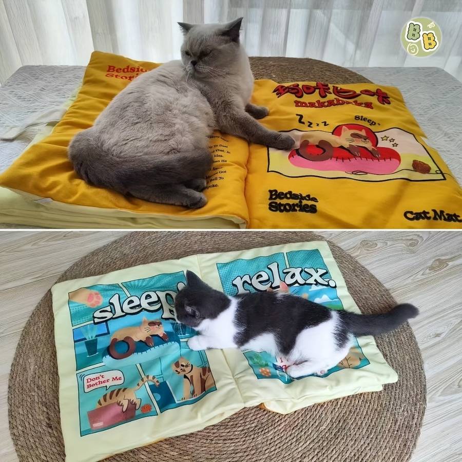 Pet supplies Style Cute Book Mat