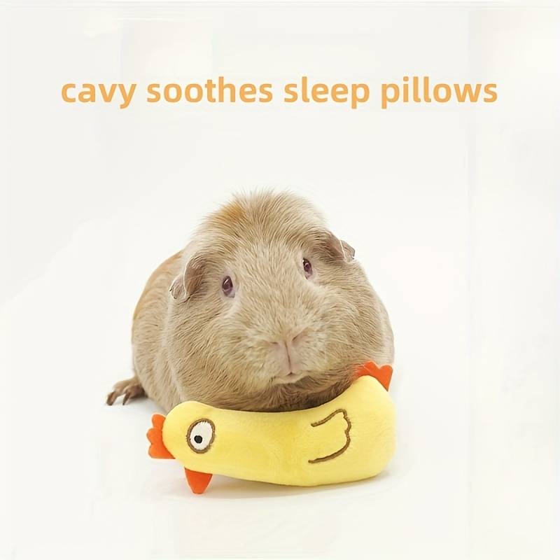 Pet Supplies Color 2 Piece Set Size Random Style