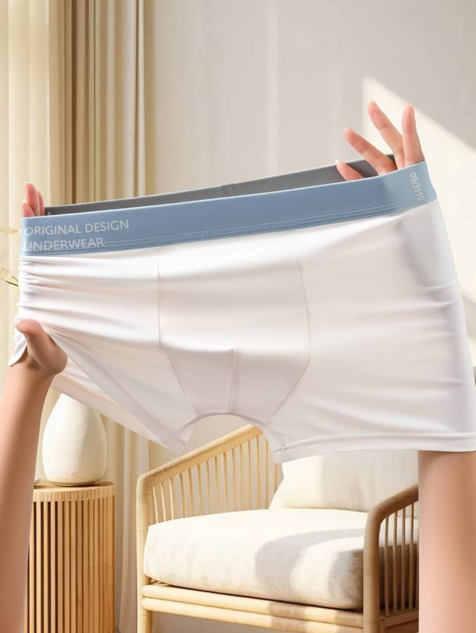 Mens Underwear Color 4Psc10139 Sizexl