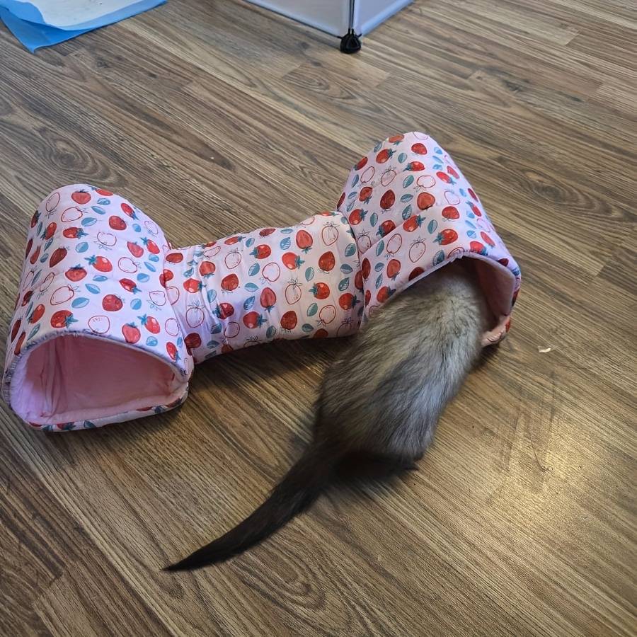 Pet supplies color Pink