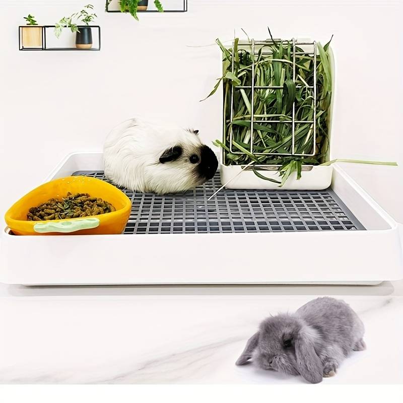 Pet supplies Quantity 1pc