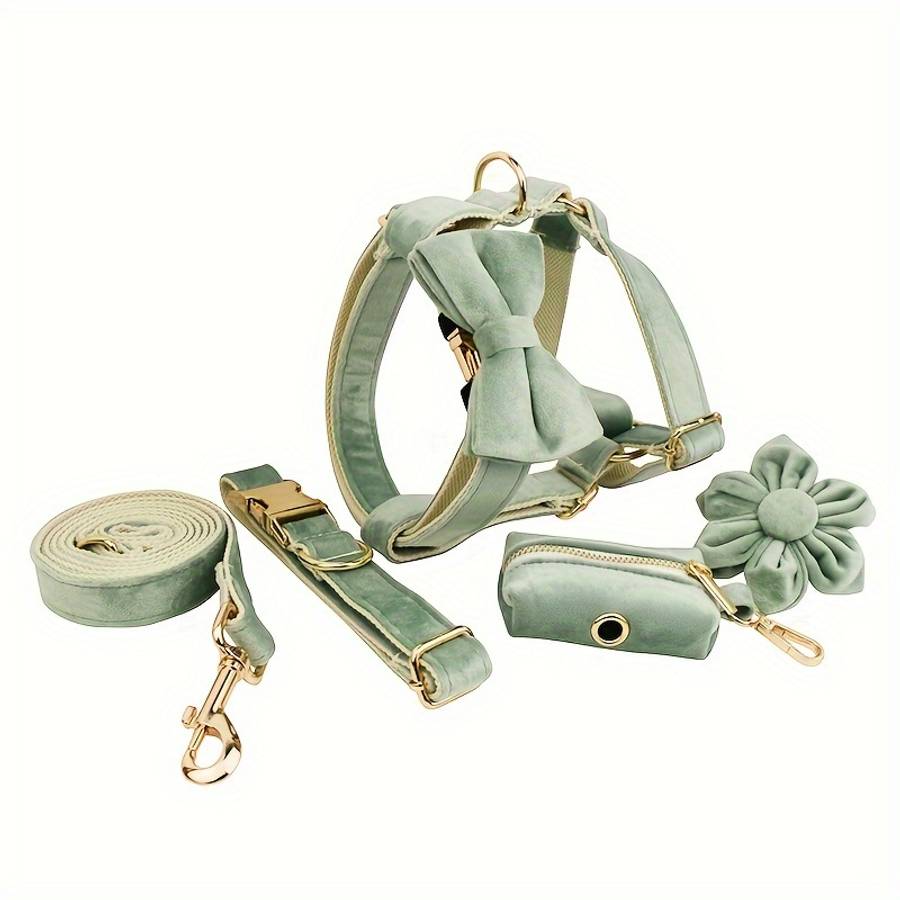 Dog Leash Color Mint Green 6Pcs Size L