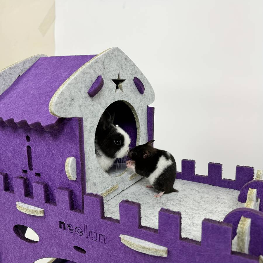 Pet Supplies Color Purple