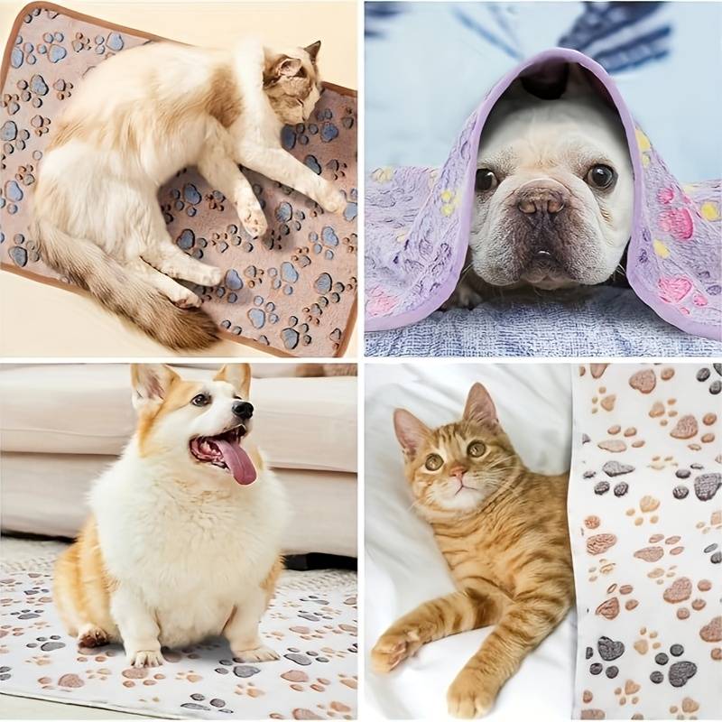 Pet supplies size XL 119.99x 100.0cm  Quantity 5pcs