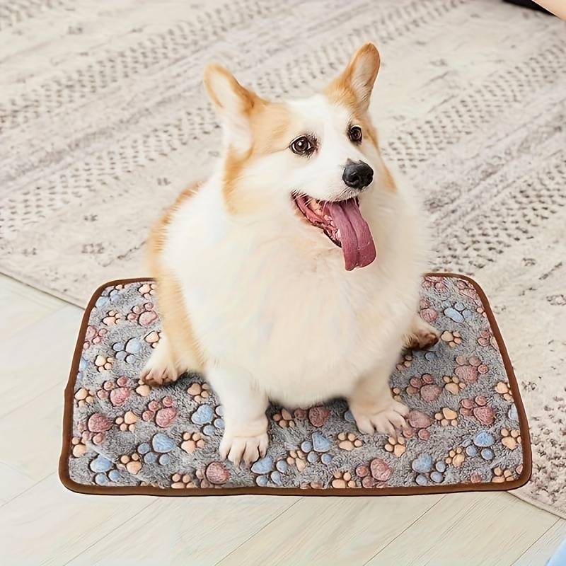 Pet supplies size XL 119.99x 100.0cm  Quantity 5pcs