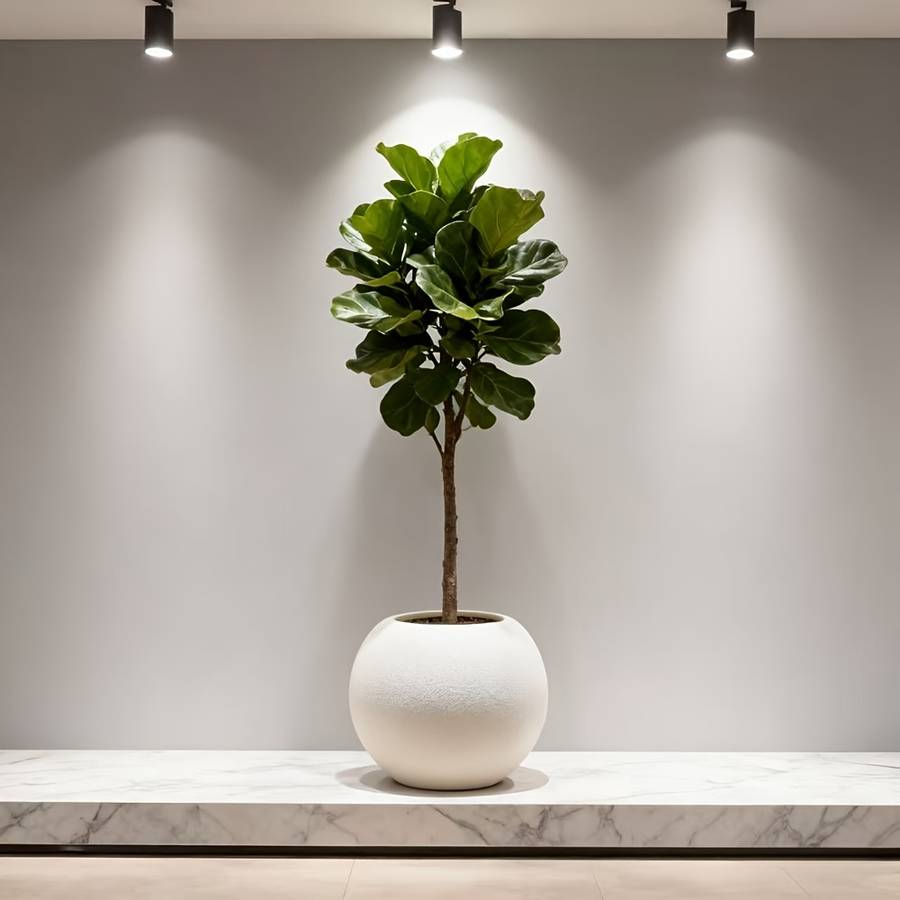 Flowerpot Color White
