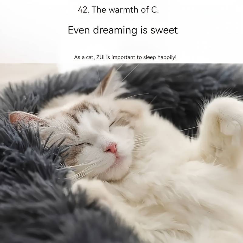 Pet supplies color Grey size 1