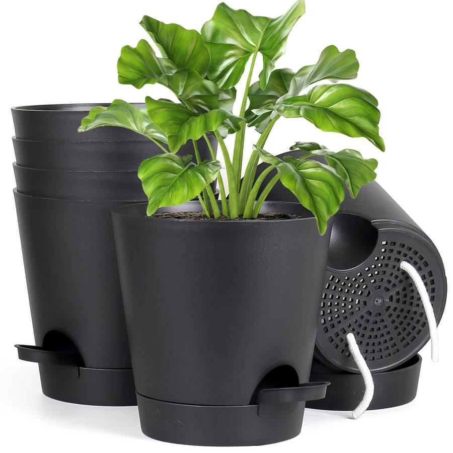 Flowerpot Color H1406 B 6 White Brown