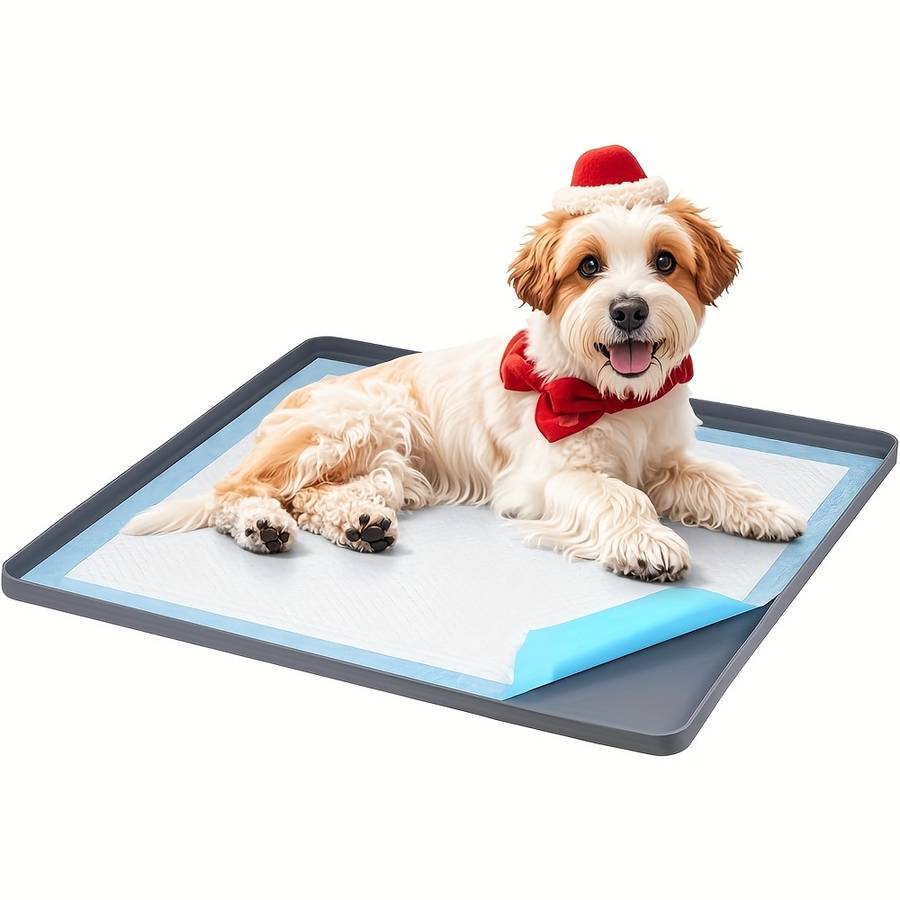 Pet supplies color grey