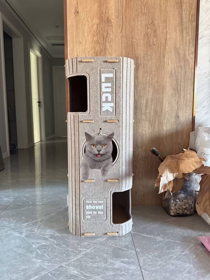 Pet supplies size 3 layers suitable for three cats