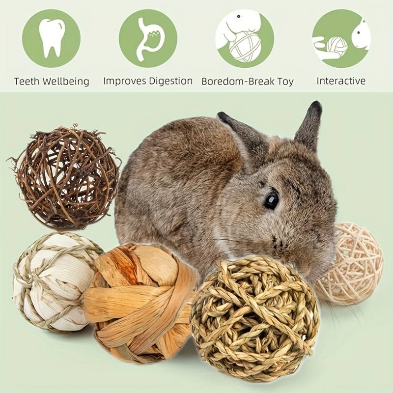 Pet Supplies Quantity 9Pcs