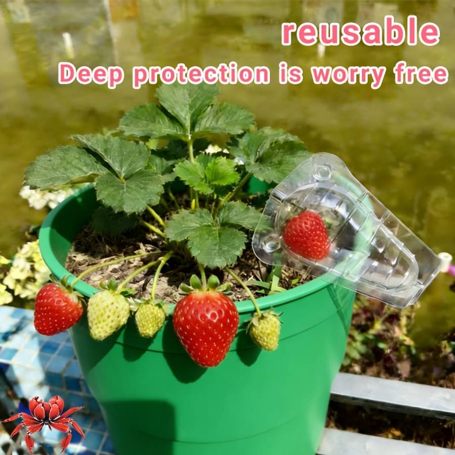 Garden Supplies Quantity 5Pcs