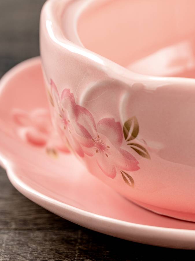 Bowl Color Pink