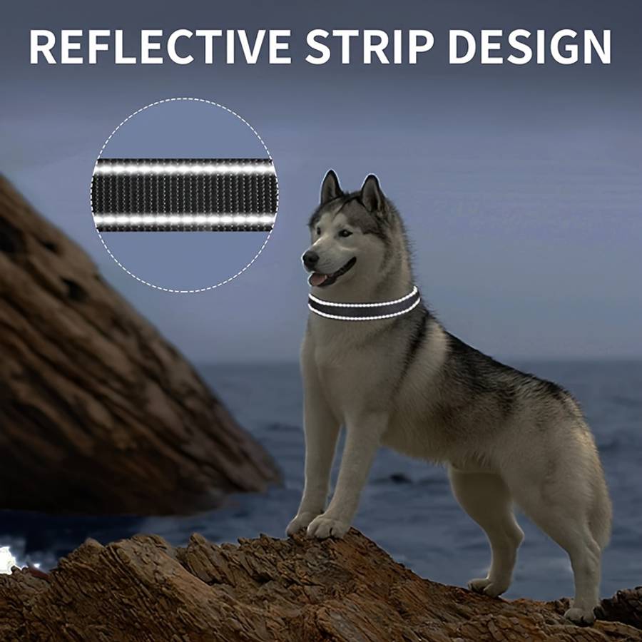 Dog Leash Color Dark Blue Size L
