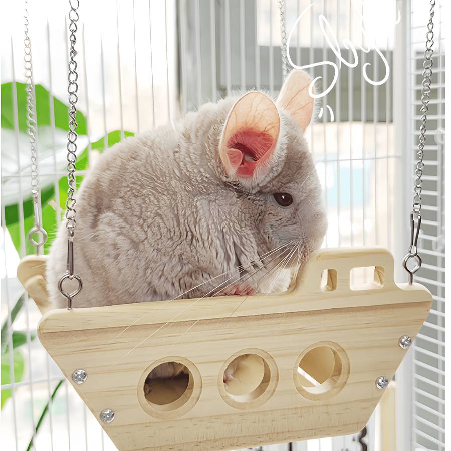Pet Supplies Quantity 1Pc