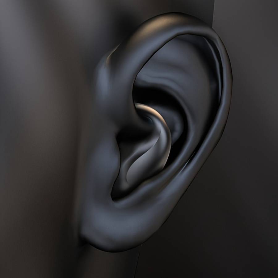 Rechargeable Wireless Earbuds Headphones Headset