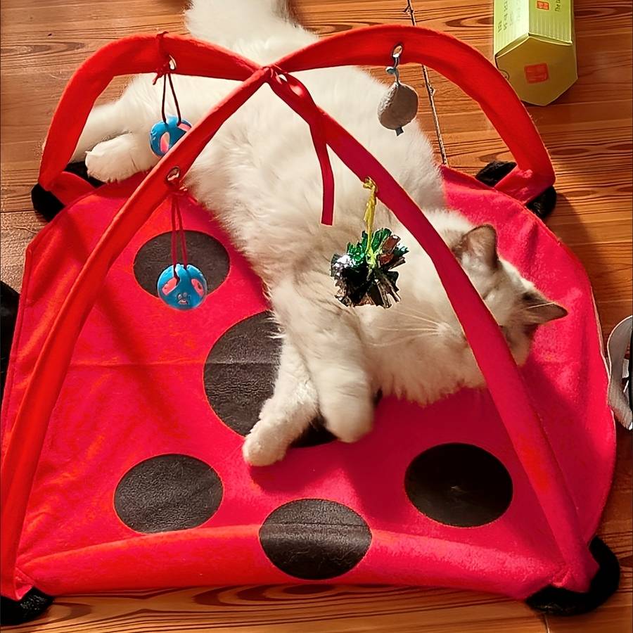 Pet supplies color  Red