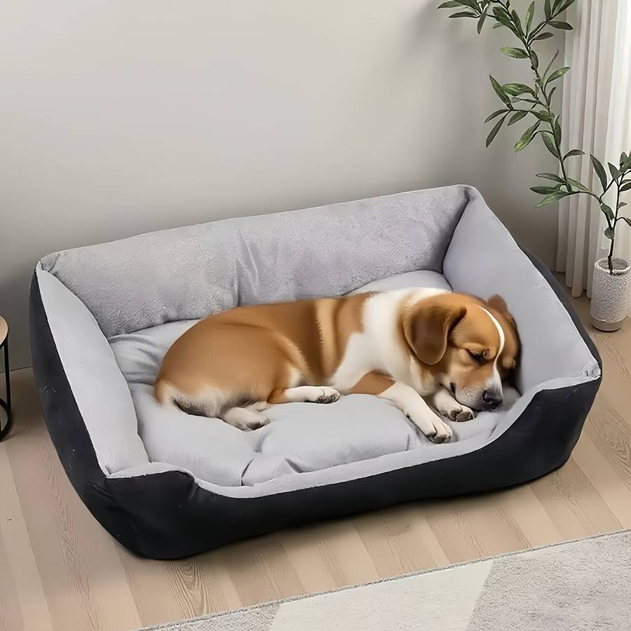 Pet supplies Model L Style  Add  Free Bite Rope