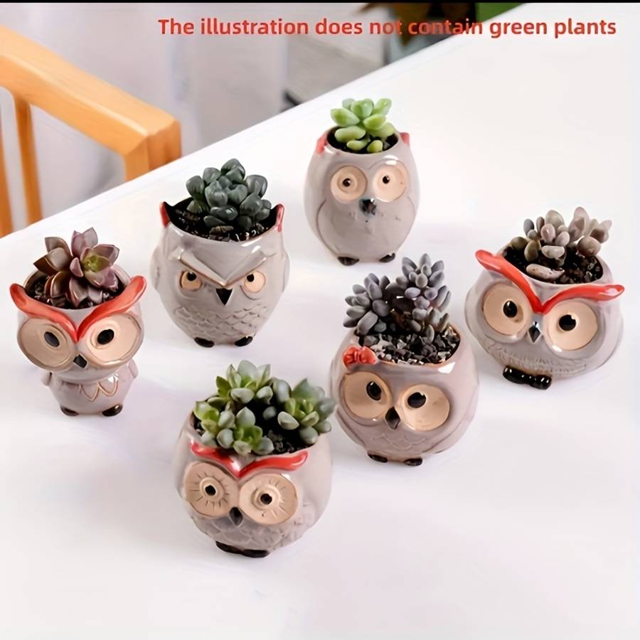 Flowerpot Color 6 Piece Owl Flower Pot Set