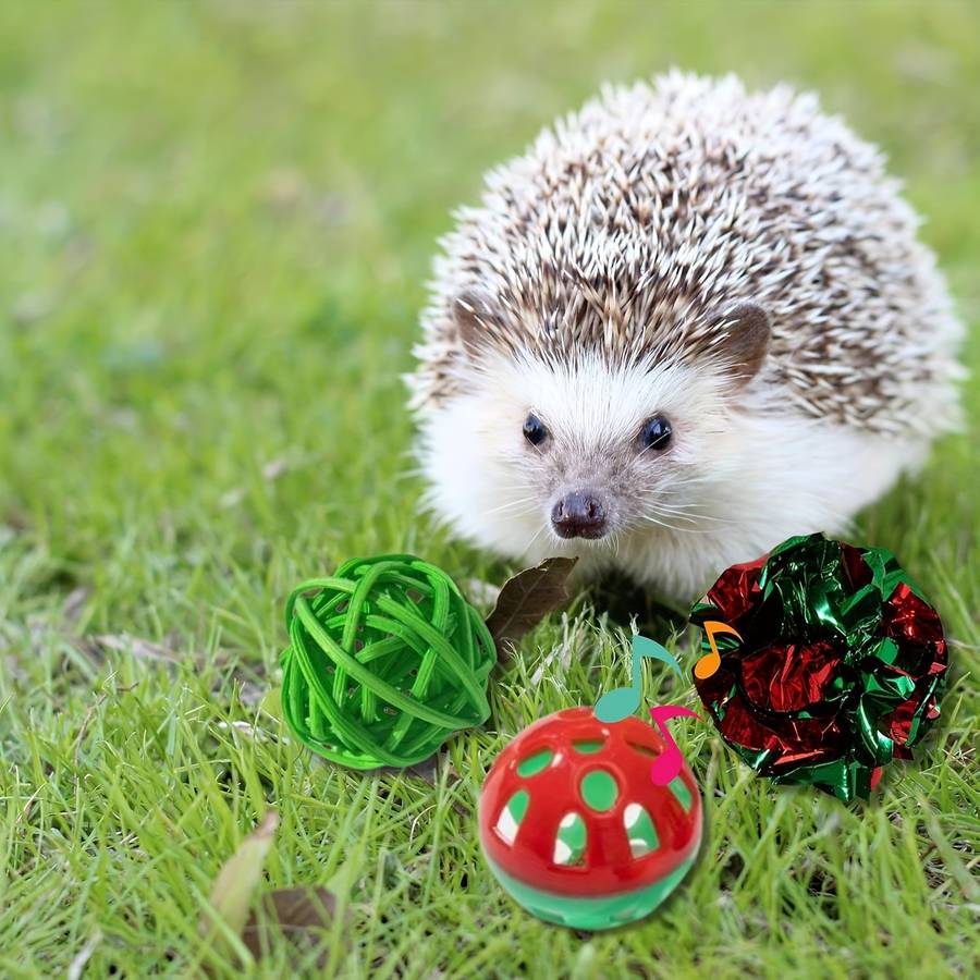 Pet Supplies Quantity 4Pcs