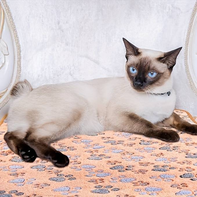Pet supplies size XL 119.99x 100.0cm  Quantity 5pcs
