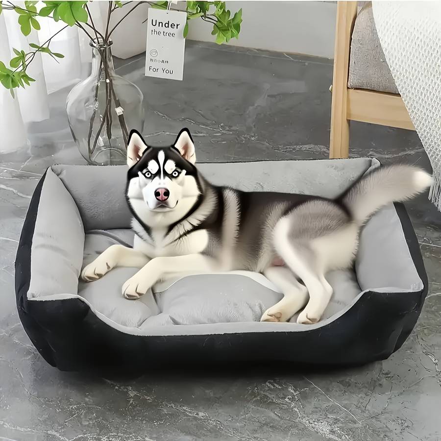 Pet supplies Model L Style  Add  Free Bite Rope