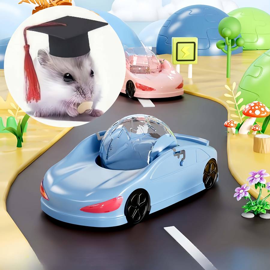 Pet Supplies Color Pink  Add  Black Hat