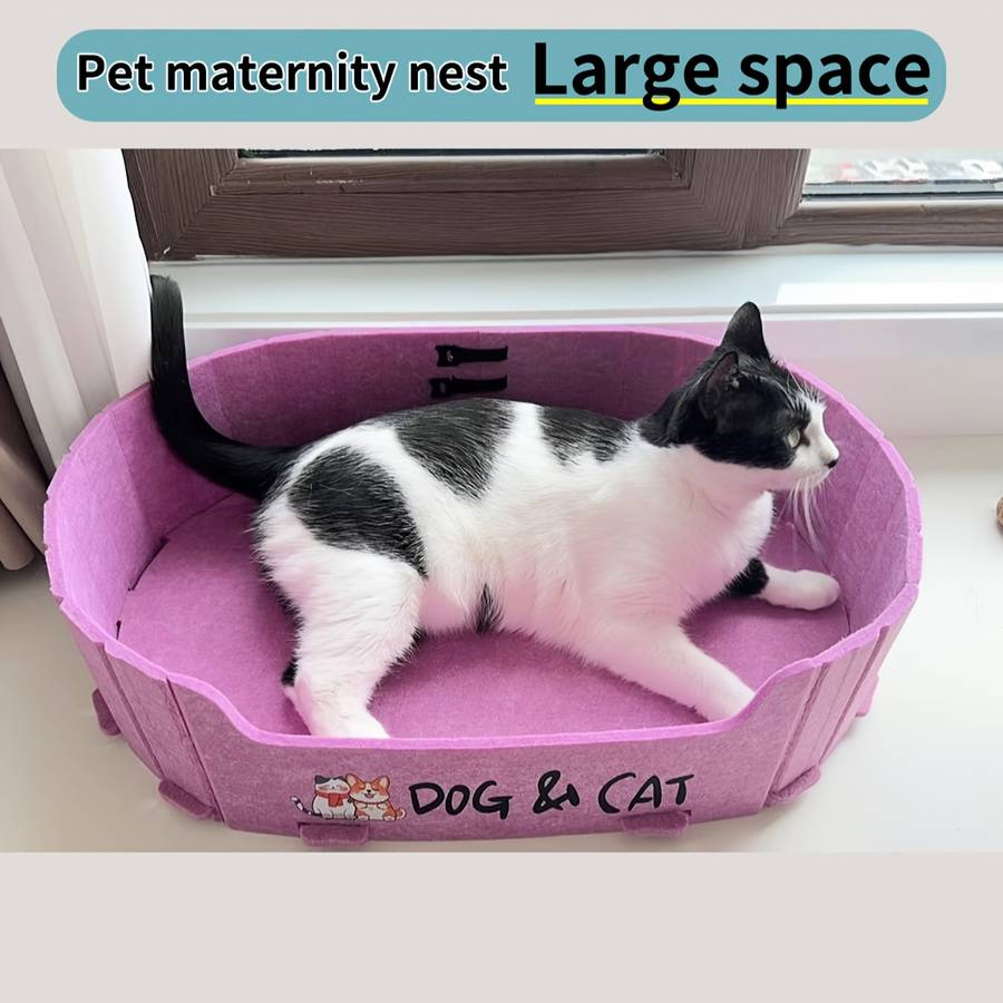 Pet supplies color Orange