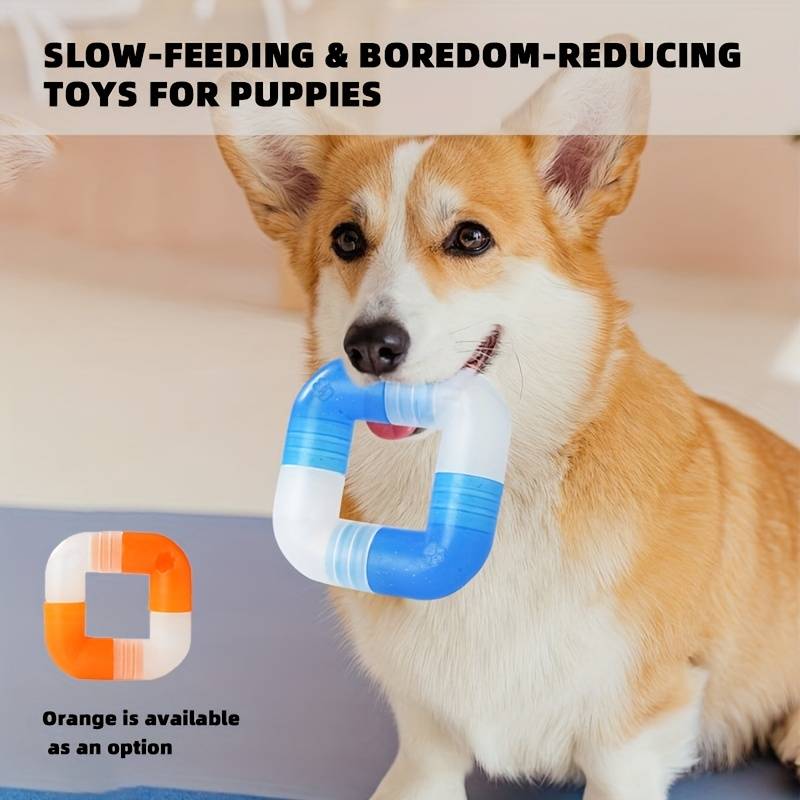 Pet Supplies Color Orange