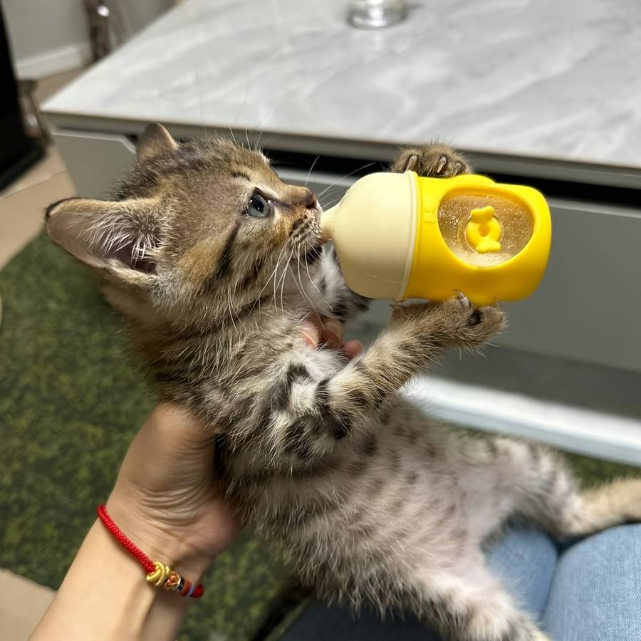 Pet supplies Style Long Pacifier