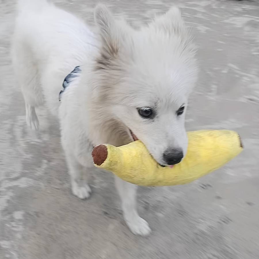 Pet Supplies Items Plush Sounding Banana Trumpet