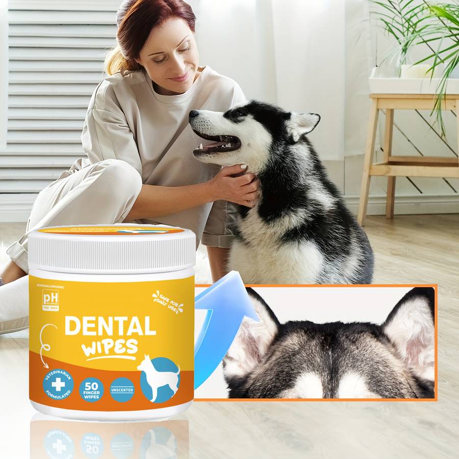 Pet supplies Quantity 1 Box