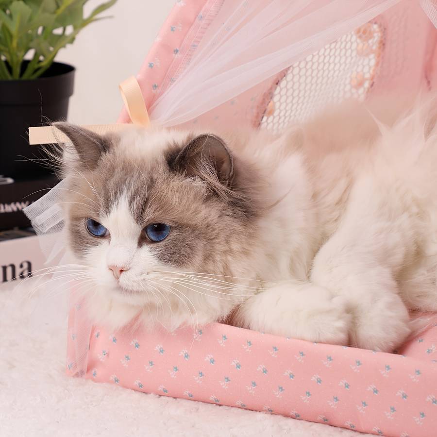 Pet supplies size M  40x 40CM