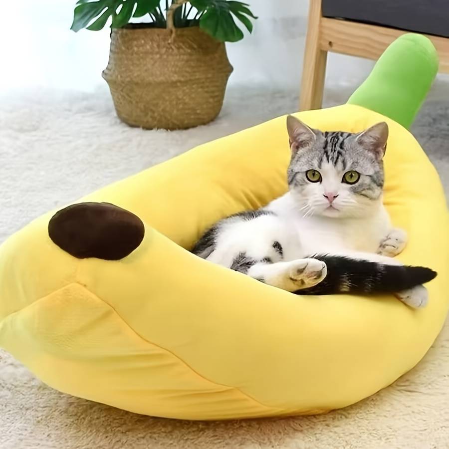 Pet supplies Quantity 1pc