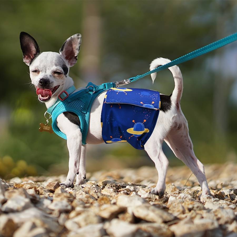 Pet supplies color Blue size M