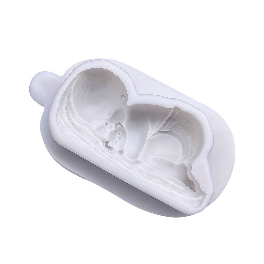 Suitable For Baking Molds